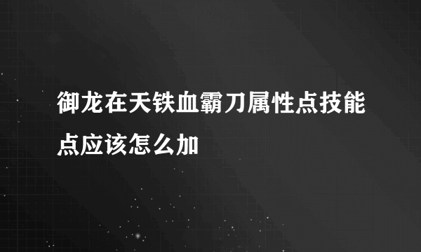 御龙在天铁血霸刀属性点技能点应该怎么加