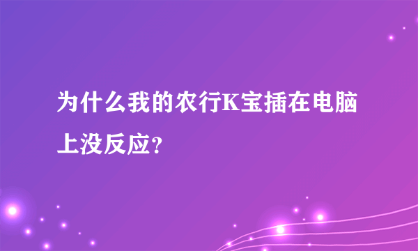 为什么我的农行K宝插在电脑上没反应？