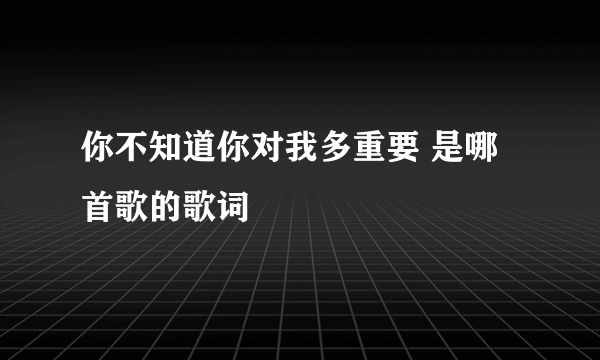 你不知道你对我多重要 是哪首歌的歌词