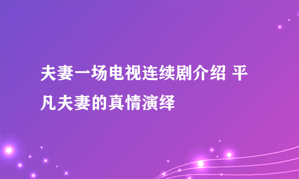 夫妻一场电视连续剧介绍 平凡夫妻的真情演绎