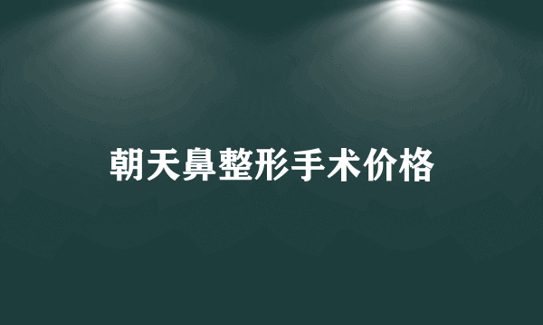 朝天鼻整形手术价格