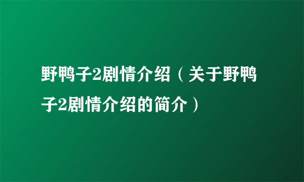 野鸭子2剧情介绍（关于野鸭子2剧情介绍的简介）