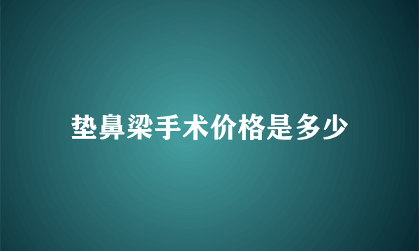 垫鼻梁手术价格是多少