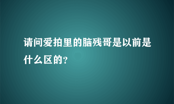 请问爱拍里的脑残哥是以前是什么区的？