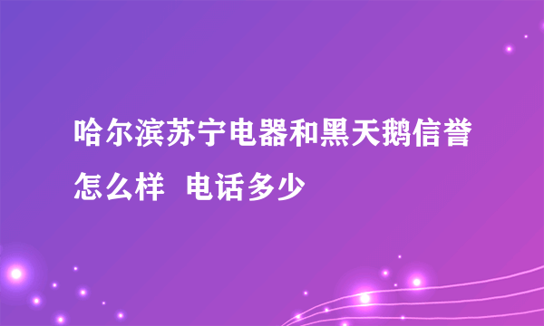 哈尔滨苏宁电器和黑天鹅信誉怎么样  电话多少