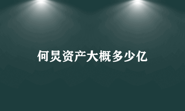 何炅资产大概多少亿