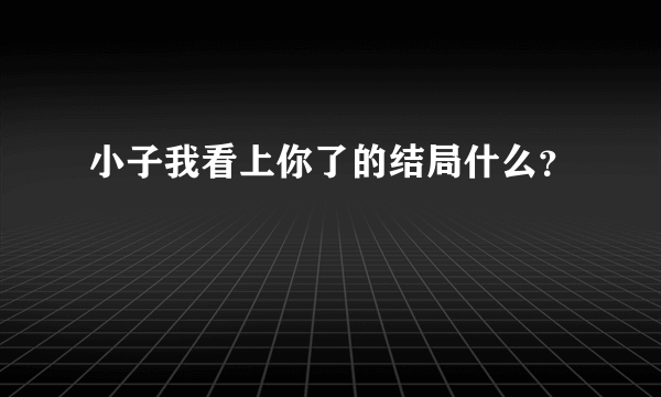 小子我看上你了的结局什么？