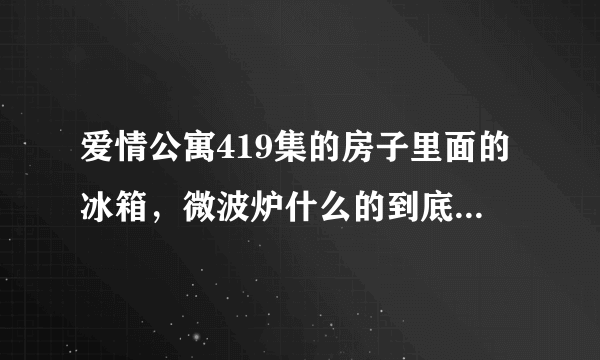 爱情公寓419集的房子里面的冰箱，微波炉什么的到底是什么啊？