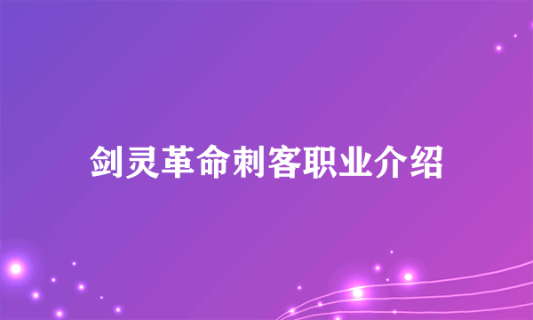 剑灵革命刺客职业介绍