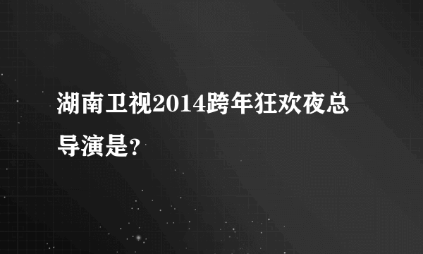 湖南卫视2014跨年狂欢夜总导演是？