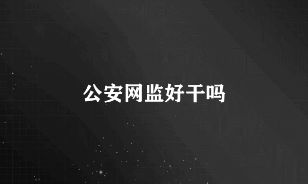 公安网监好干吗