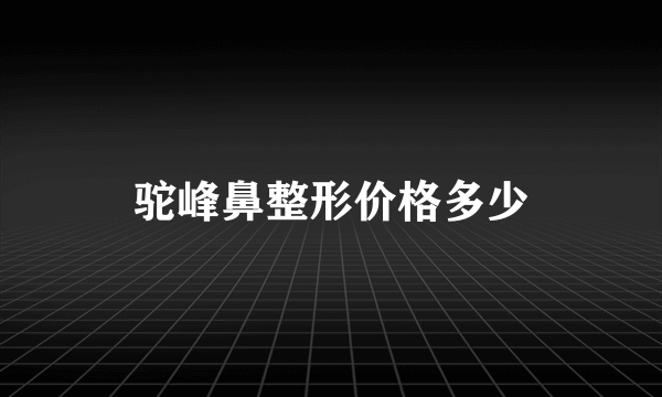 驼峰鼻整形价格多少