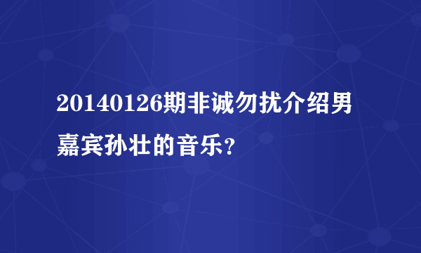 20140126期非诚勿扰介绍男嘉宾孙壮的音乐？