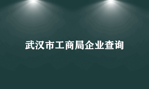 武汉市工商局企业查询