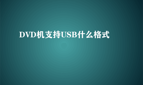 DVD机支持USB什么格式