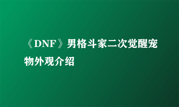 《DNF》男格斗家二次觉醒宠物外观介绍