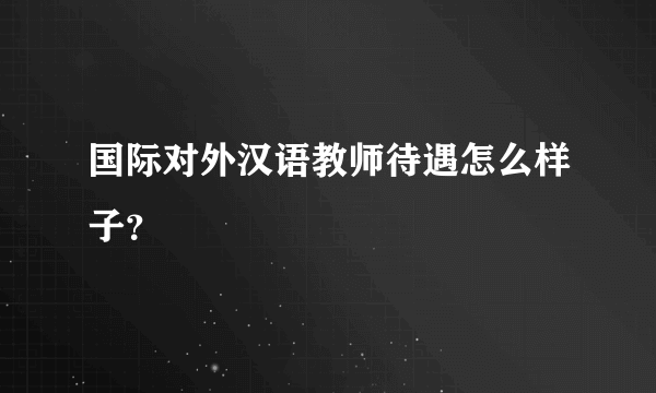 国际对外汉语教师待遇怎么样子？