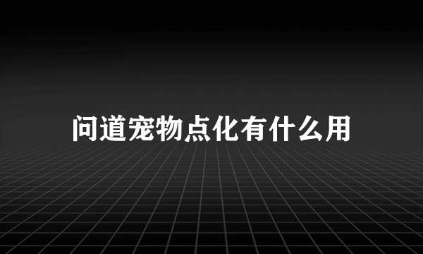 问道宠物点化有什么用