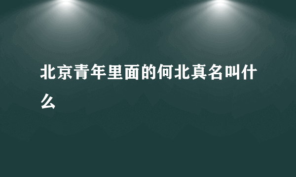 北京青年里面的何北真名叫什么