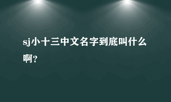 sj小十三中文名字到底叫什么啊？