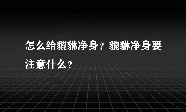 怎么给貔貅净身？貔貅净身要注意什么？