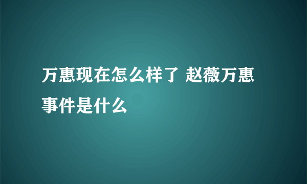 万惠现在怎么样了 赵薇万惠事件是什么