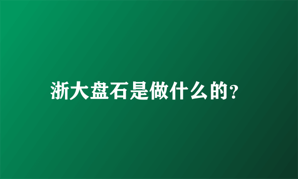 浙大盘石是做什么的？