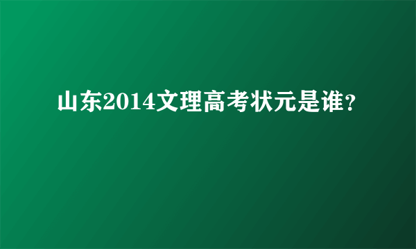 山东2014文理高考状元是谁？