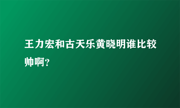 王力宏和古天乐黄晓明谁比较帅啊？