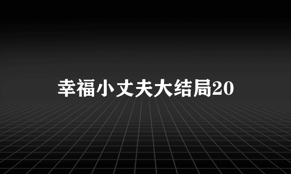 幸福小丈夫大结局20