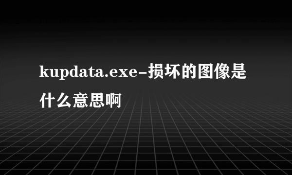 kupdata.exe-损坏的图像是什么意思啊