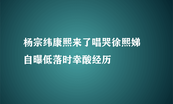 杨宗纬康熙来了唱哭徐熙娣 自曝低落时幸酸经历