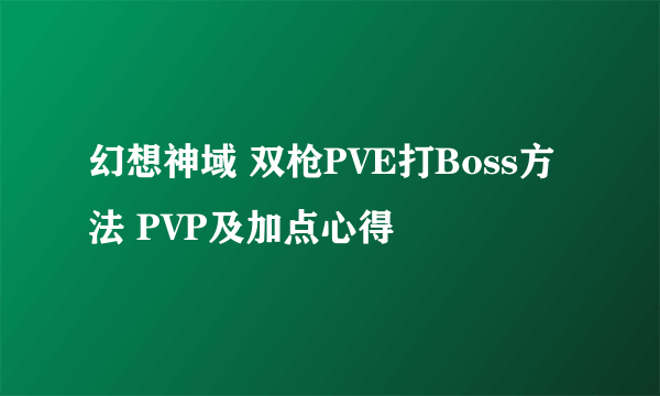 幻想神域 双枪PVE打Boss方法 PVP及加点心得