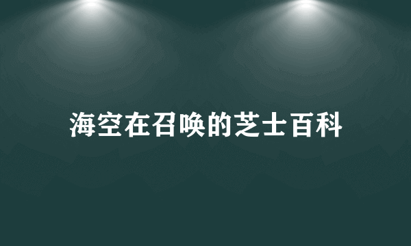 海空在召唤的芝士百科