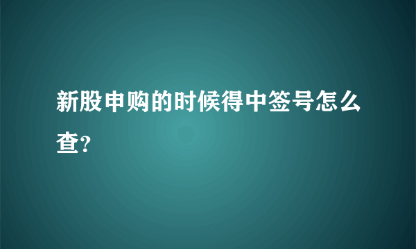 新股申购的时候得中签号怎么查？