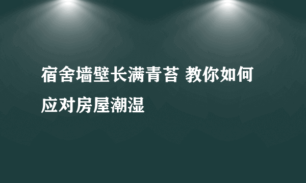 宿舍墙壁长满青苔 教你如何应对房屋潮湿