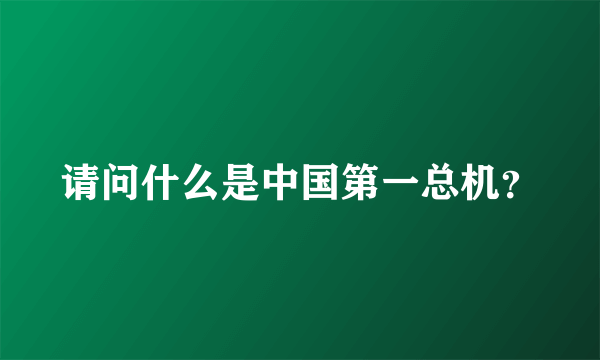 请问什么是中国第一总机？