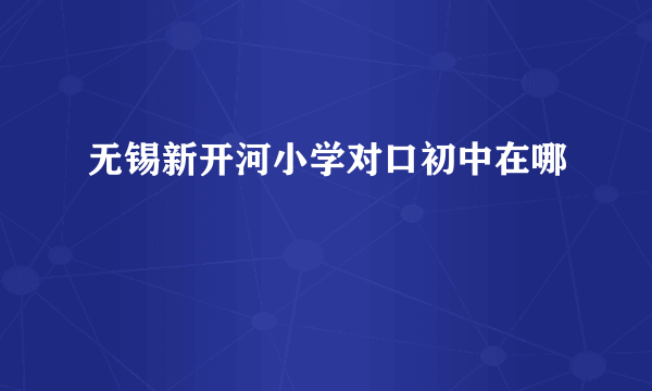 无锡新开河小学对口初中在哪