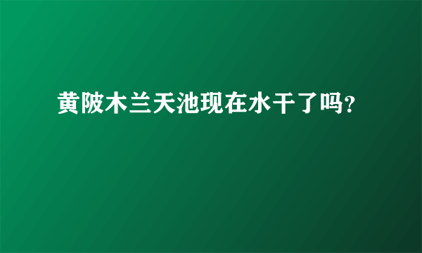 黄陂木兰天池现在水干了吗？