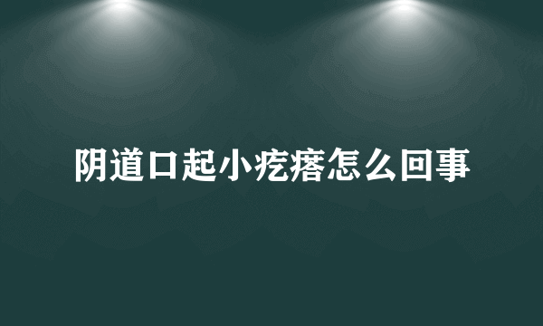 阴道口起小疙瘩怎么回事