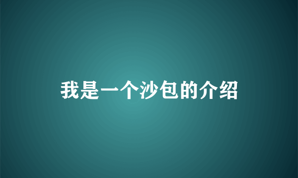 我是一个沙包的介绍