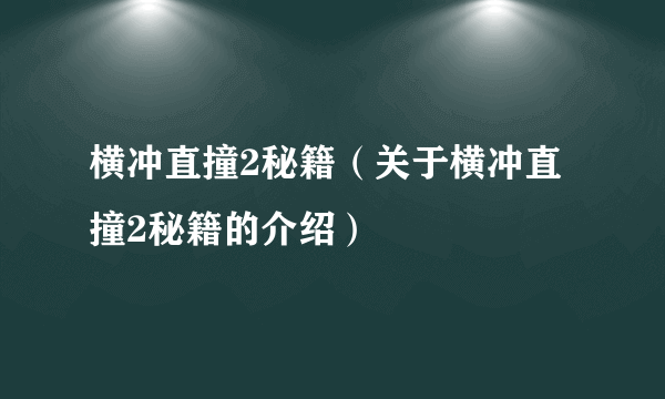 横冲直撞2秘籍（关于横冲直撞2秘籍的介绍）