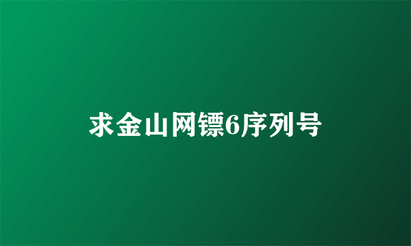 求金山网镖6序列号