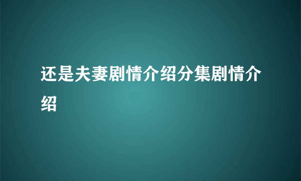 还是夫妻剧情介绍分集剧情介绍