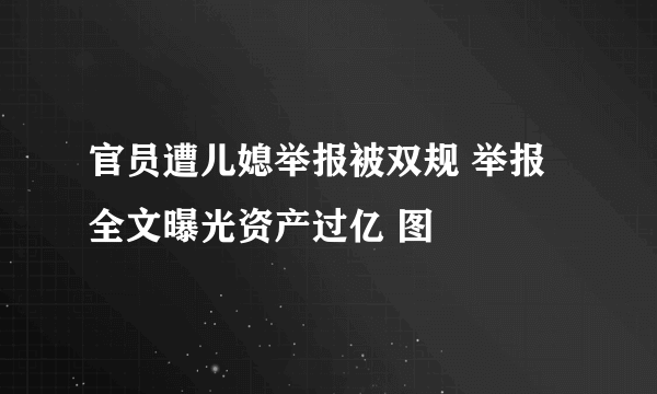 官员遭儿媳举报被双规 举报全文曝光资产过亿 图