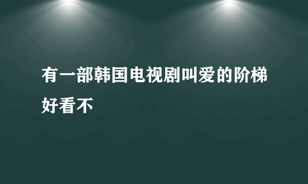 有一部韩国电视剧叫爱的阶梯好看不