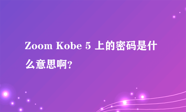 Zoom Kobe 5 上的密码是什么意思啊？