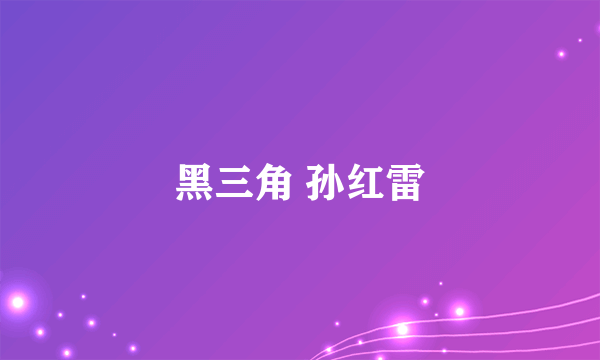 黑三角 孙红雷