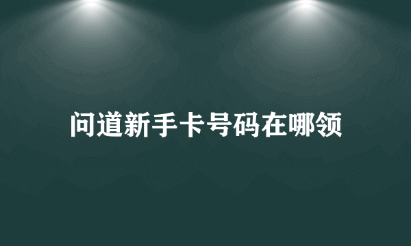 问道新手卡号码在哪领