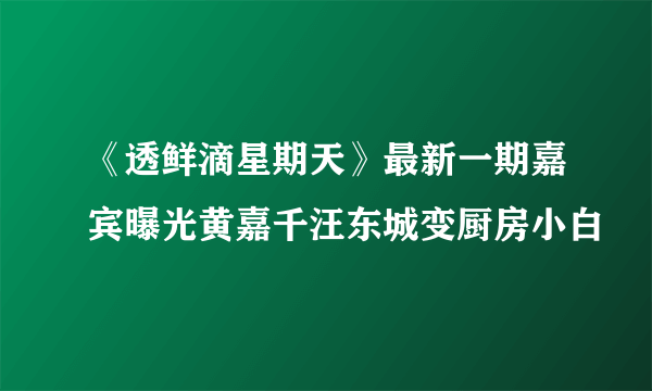 《透鲜滴星期天》最新一期嘉宾曝光黄嘉千汪东城变厨房小白